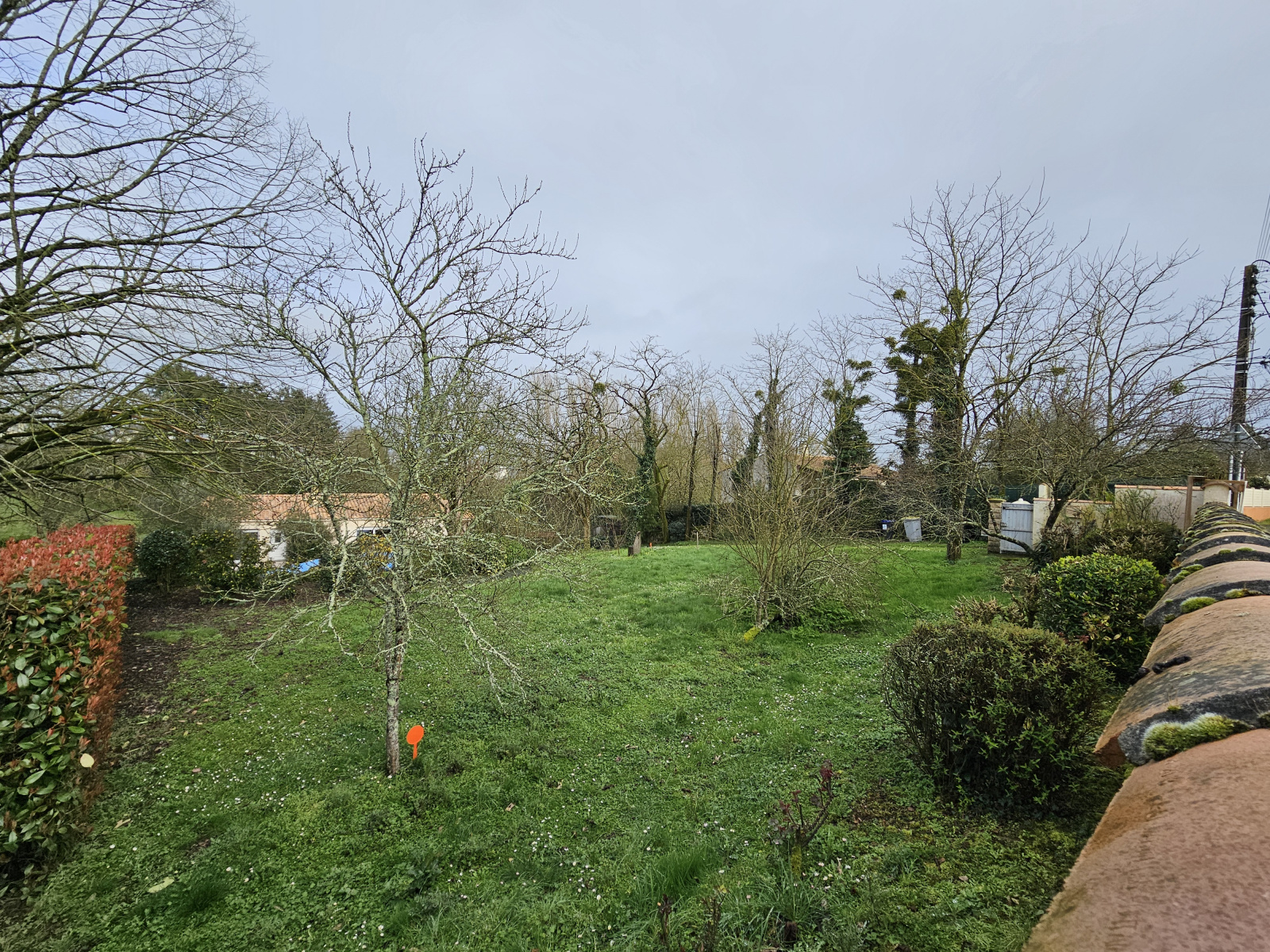 Image_, Terrain, Fontenay-le-Comte, ref :582