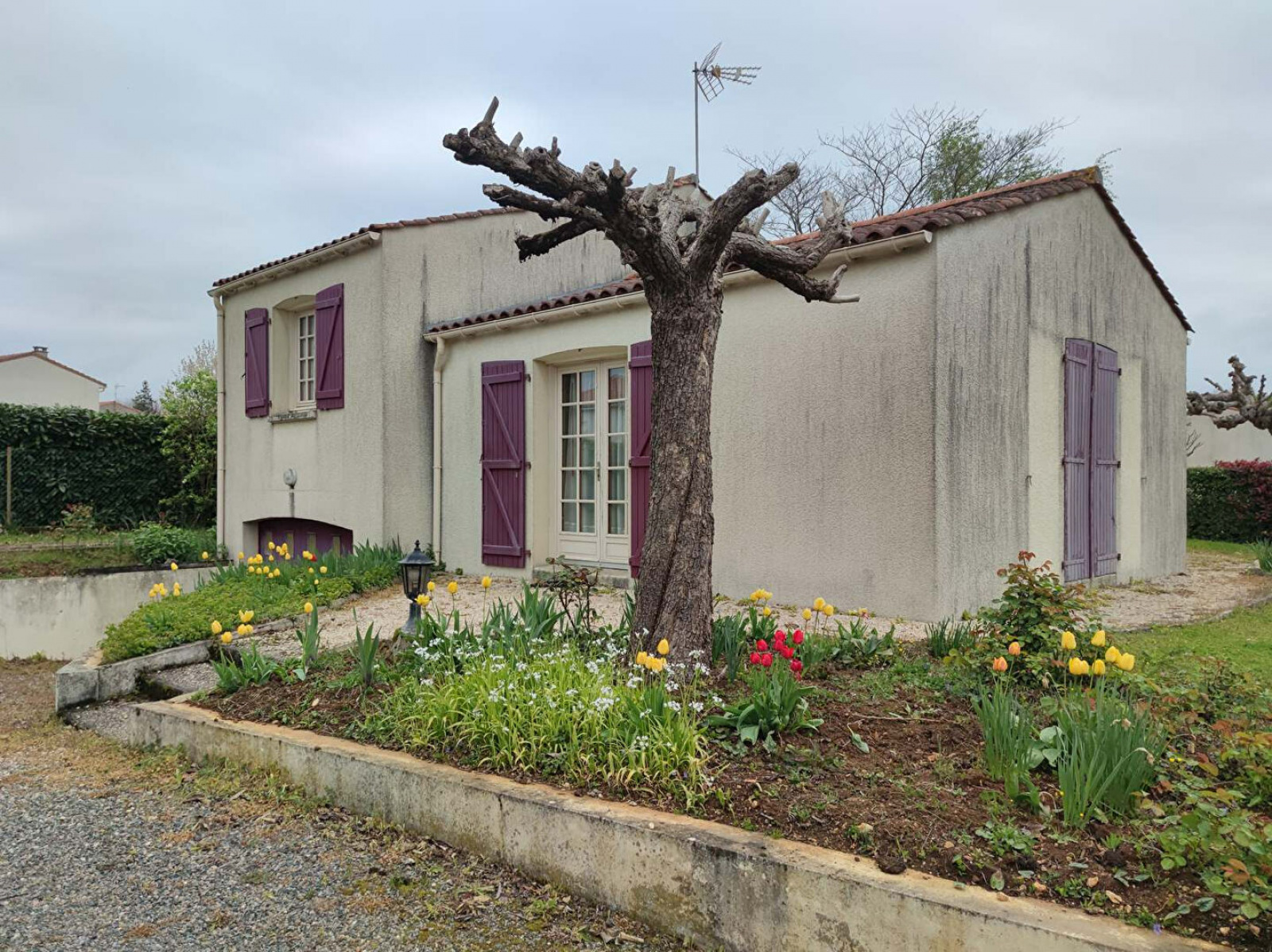 Image_, Maison, Fontenay-le-Comte, ref :477